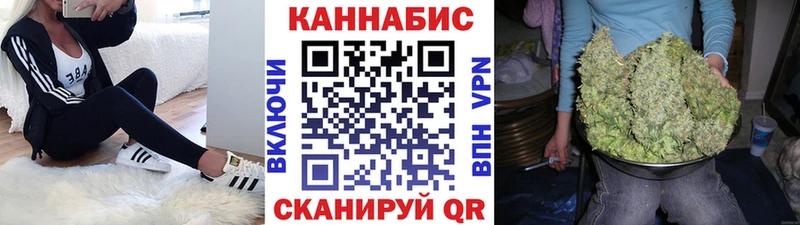 Продажа наркотиков Тула Гашиш  Alpha PVP  COCAIN  Мефедрон  НБОМе  Марихуана  Псилоцибиновые грибы 