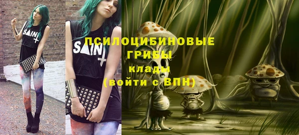 прущий лед Алексеевка