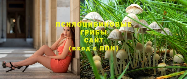 прущий лед Алексеевка
